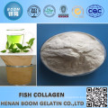 Cosmetics Fish Collagen Powder